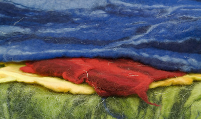 Image showing colorful felt