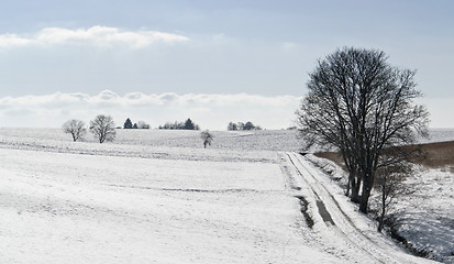 Image showing Hohenlohe at winter time