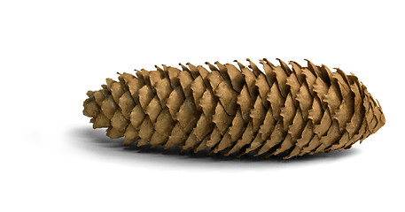 Image showing fir cone