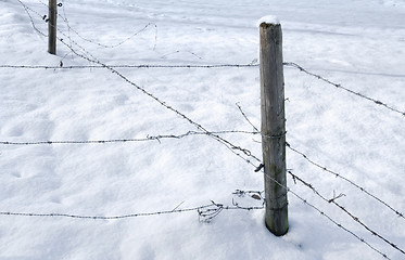 Image showing snowbound barbed wire fence