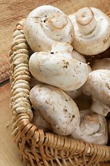 Image showing Basket with Champignons