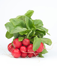 Image showing Radish