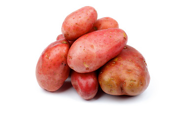 Image showing Raw Red Potatoes