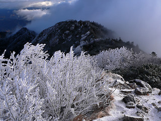 Image showing early winter mountains