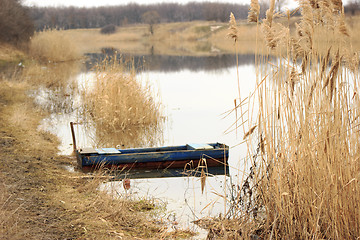 Image showing Empty boat at rushy shore