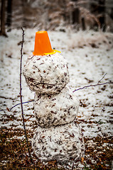 Image showing snow man