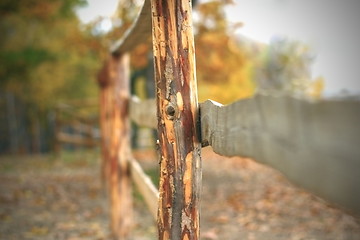 Image showing abstract view of wooden fence