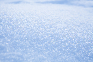 Image showing Fresh snow background