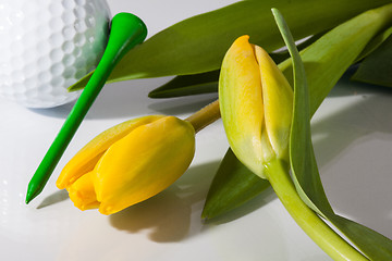 Image showing Flowers and golf