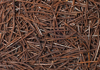 Image showing Rusty nails.