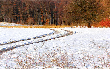 Image showing rural road towards the forest