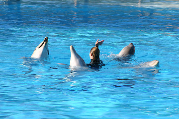 Image showing dolphins dancing