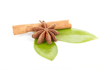 Image showing Star Anise, cinnamon and and green leave on white