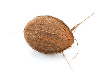 Image showing Coconut on a white background 