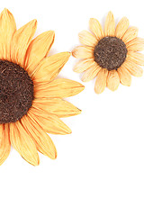 Image showing two sunflower decoration white background