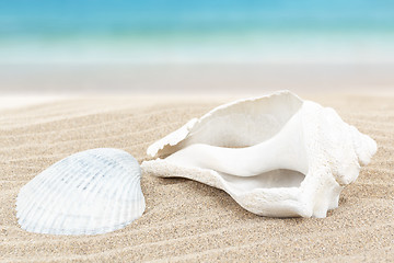 Image showing seashell in sand with blue blurry background