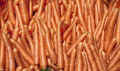 Image showing Carrot background