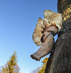 Image showing Little wooden angel figure in a tree