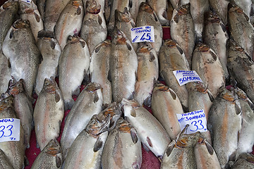 Image showing Fresh salmon for sale