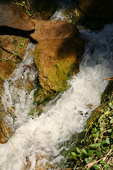 Image showing slimey rock and waterwall