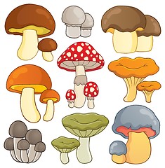 Image showing Mushroom theme collection 1