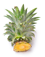 Image showing pineapple