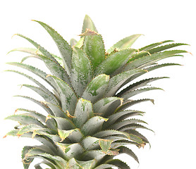 Image showing pineapple