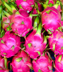 Image showing dragon fruits