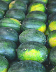 Image showing watermelons