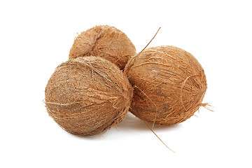 Image showing Coconut on a white background 