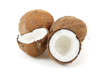 Image showing Coconut on a white background 