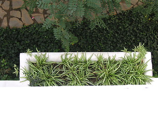 Image showing window box