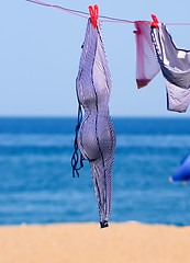 Image showing striped swimsuit