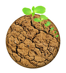 Image showing Plant growing out of parched planet, evolution concept