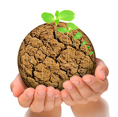 Image showing Plant growing out of parched planet in hands, evolution concept