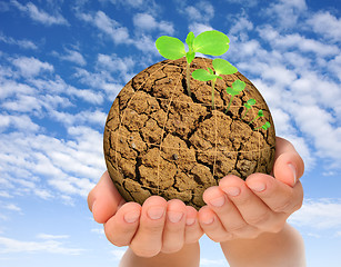 Image showing Plants growing out of parched planet in hands