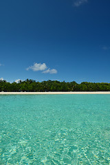 Image showing tropical beach