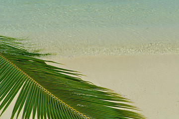 Image showing tropical beach