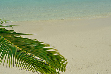 Image showing tropical beach