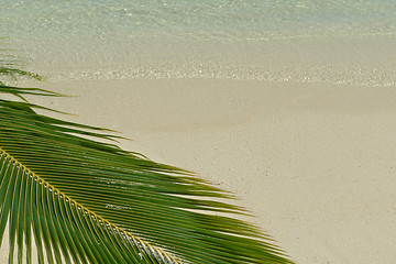 Image showing tropical beach