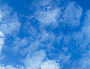 Image showing Light, transparent cumulus clouds - zenith of sky 