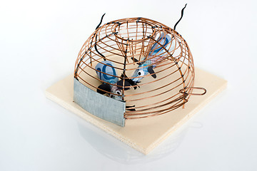 Image showing Conceptual: Euro Bills trapped in mouse-trap