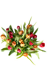 Image showing Bouquet of tulips on white - vertical