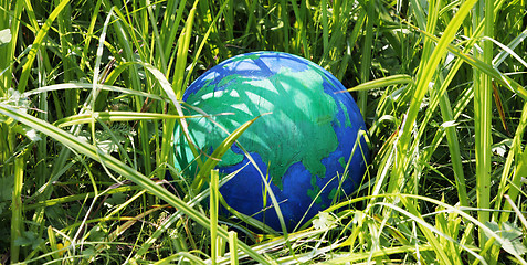 Image showing Globe in the grass