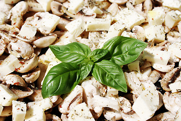 Image showing Mushrooms, mozzarella and basil