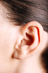 Image showing Human ear