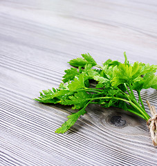 Image showing Bunch of parsley 