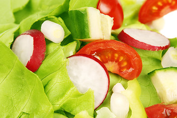 Image showing Salad