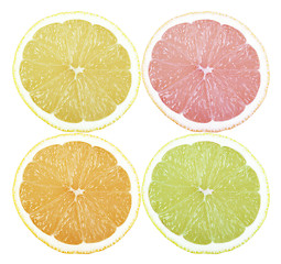 Image showing Citrus fruits