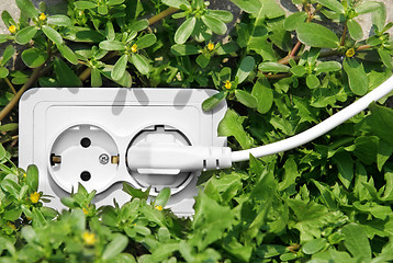 Image showing Power outlet in green grass 